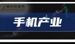 塞拉最新爆料新闻报道,最新新闻报道揭秘